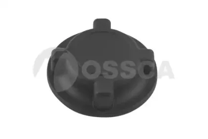 ossca-04372