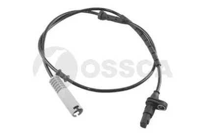 ossca-04944