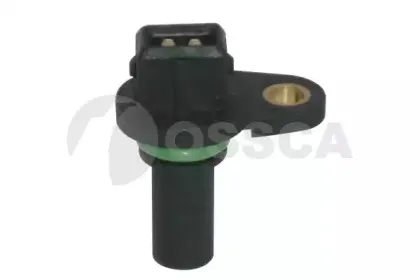 05033 OSSCA
