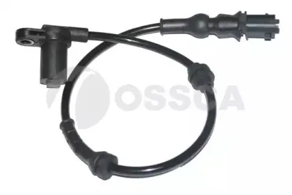 05035 OSSCA
