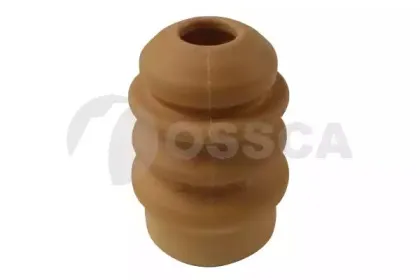 05189 OSSCA
