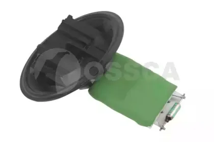 08089 OSSCA