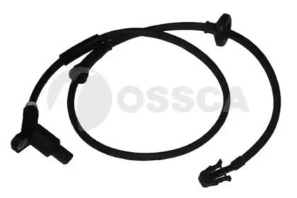 08617 OSSCA