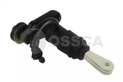 09873 OSSCA