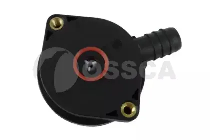 11904 OSSCA