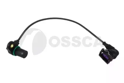 ossca-12082