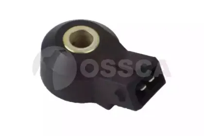 ossca-13064