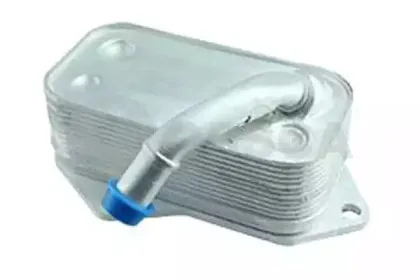 ossca-13817