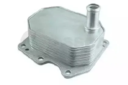 ossca-14486