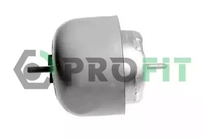 1015-0491 PROFIT