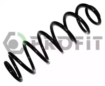 2010-1062 PROFIT