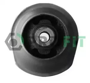 2307-0243 PROFIT