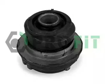 2307-0555 PROFIT Подвеска, рычаг независимой подвески колеса