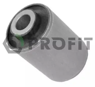 2307-0596 PROFIT