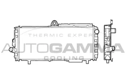 autogamma-100002