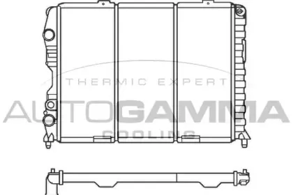 autogamma-100029