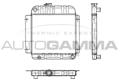 autogamma-100080