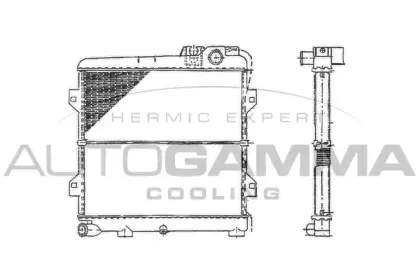 autogamma-100115