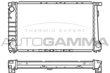 autogamma-100128