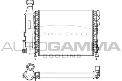 autogamma-100146
