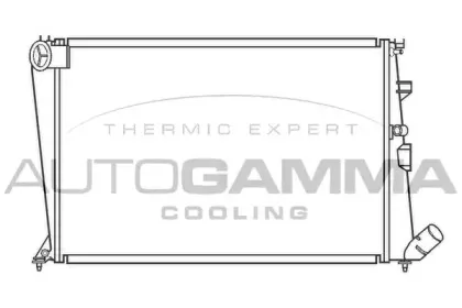 autogamma-100201