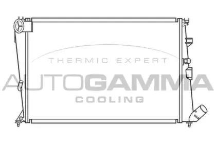 autogamma-100202