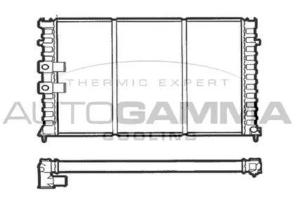 autogamma-100206