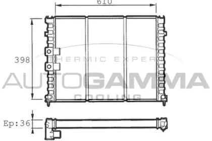 autogamma-100207