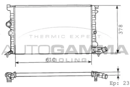 autogamma-100208