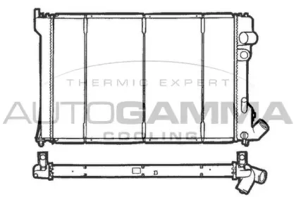 autogamma-100211
