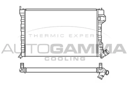 autogamma-100221