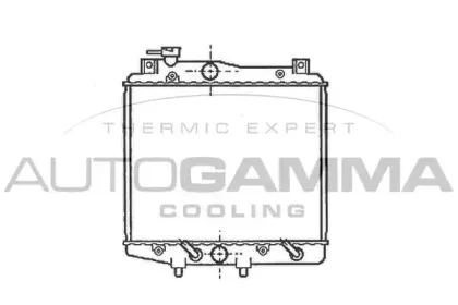 autogamma-100239