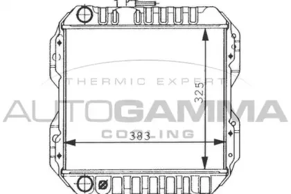 autogamma-100241