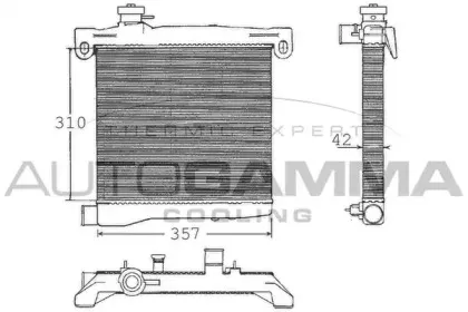 autogamma-100247