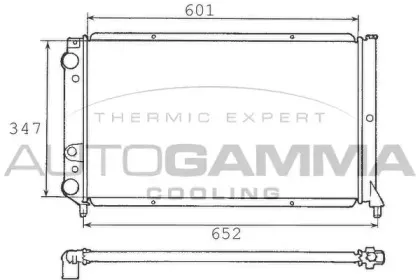 autogamma-100300