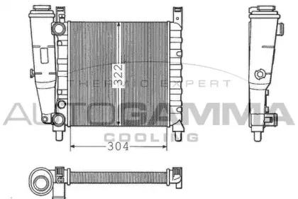 autogamma-100310