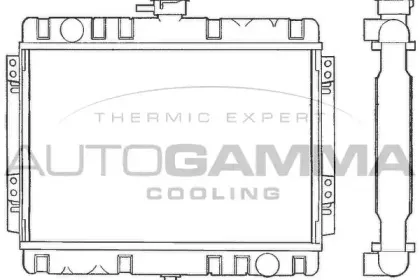 autogamma-100321