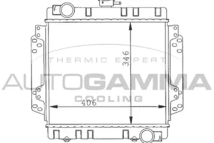 autogamma-100326