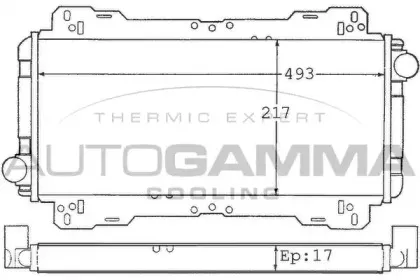 autogamma-100334
