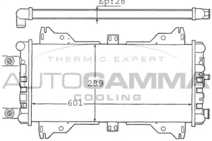 autogamma-100337