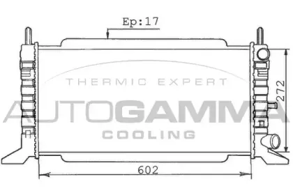autogamma-100339