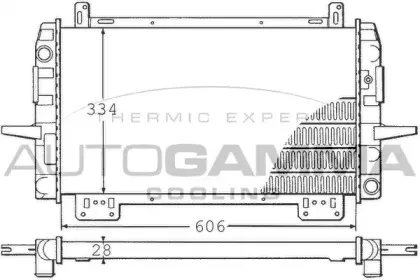 autogamma-100376