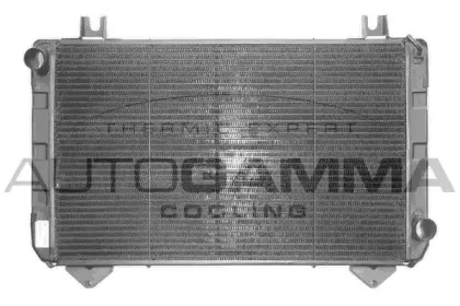 autogamma-100397
