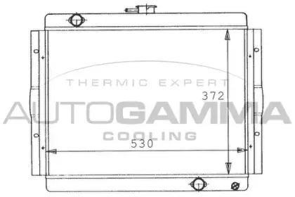 autogamma-100440