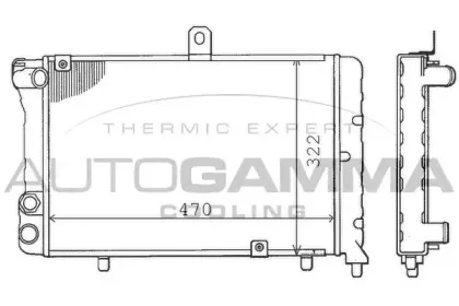 autogamma-100449