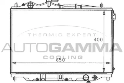 autogamma-100498