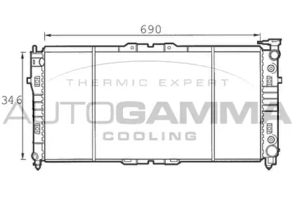 autogamma-100501