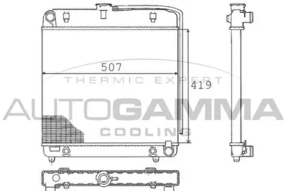 autogamma-100531