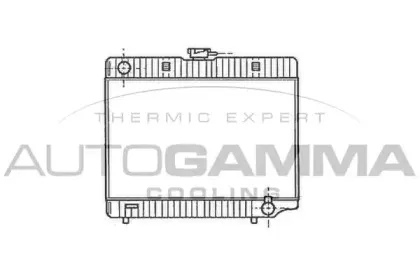 autogamma-100534