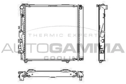 autogamma-100559